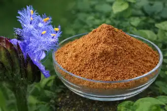 Cyanotis Arachnoidea Extract for Ecdysterone Supplement Development